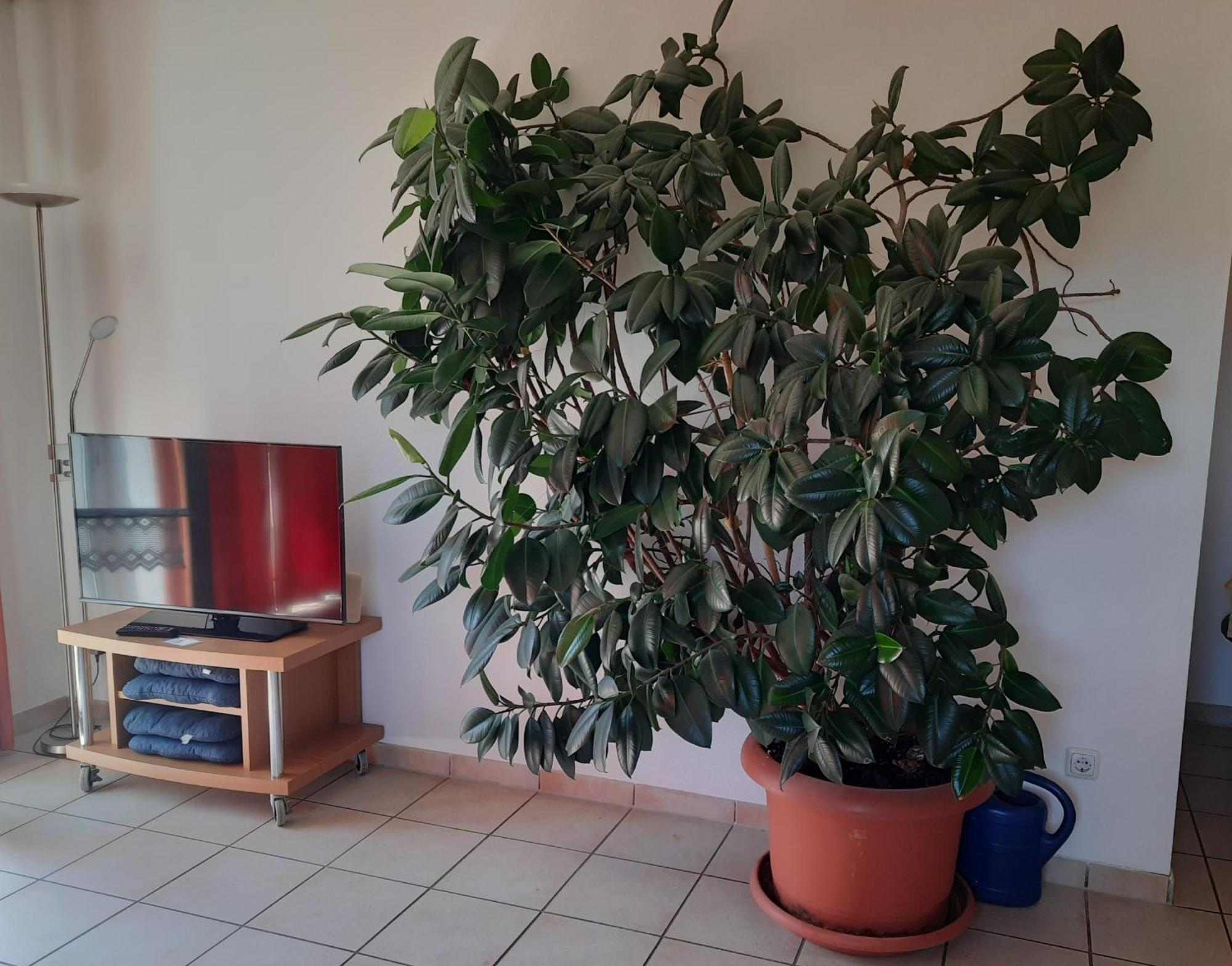 Ferienwohnung Ferstl Riedenburg Luaran gambar
